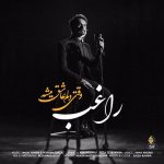دانلود آهنگ وقتی دلم عاشق میشه از راغب