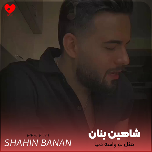 دانلود آهنگ مثل تو واسه دنیا یه دونه بسه از شاهین بنان