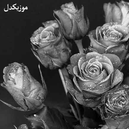 دانلود آهنگ دنیا دار مکافات خسته آقای قاضی