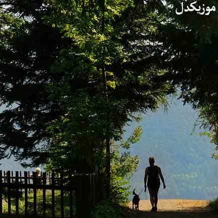 دانلود اهنگ الهی من بمیرم تو بمانی سر قبرم بیای قران بخوانی