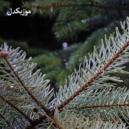 دانلود اهنگ مافیای روسیه