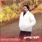 دانلود آهنگ نرو ببین عاشق شدم بمون واسه دل خودم از داوود یونسی