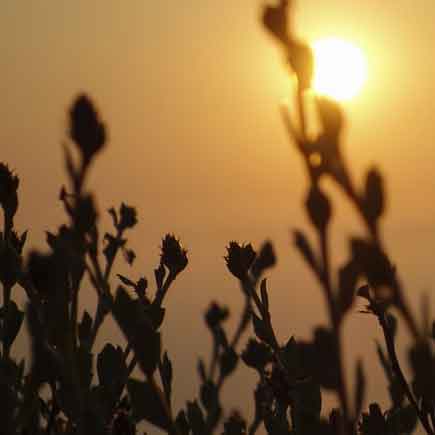 دانلود اهنگ قدم از قدم بردار باز تنها بگذرونو همراه باش