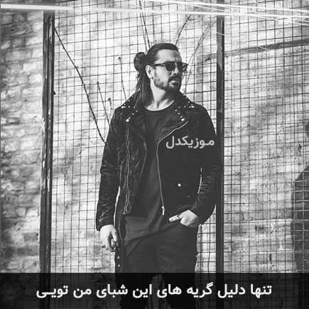 دانلود اهنگ تنها دلیل گریه های این شبای من تویی امیرعباس گلاب