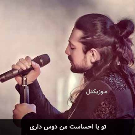 دانلود اهنگ تو با احساست منو دوس داری امیرعباس گلاب