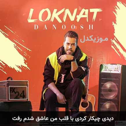 دانلود اهنگ دیدی چیکار کردی با قلب من عاشق شدم رفت دانوش