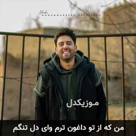 دانلود اهنگ من که از تو داغون ترم وای دل تنگم ناصر پورکرم