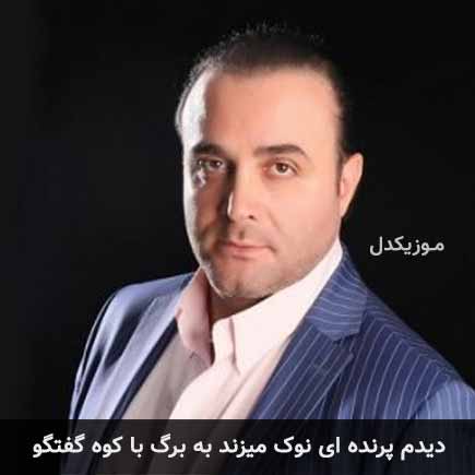 دانلود اهنگ دیدم پرنده ای نوک میزند به برگ با کوه گفتگو سینا سرلک