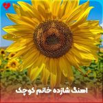 دانلود آهنگ کودکانه شازده خانم کوچک