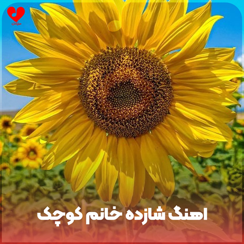 شازده خانم کوچک