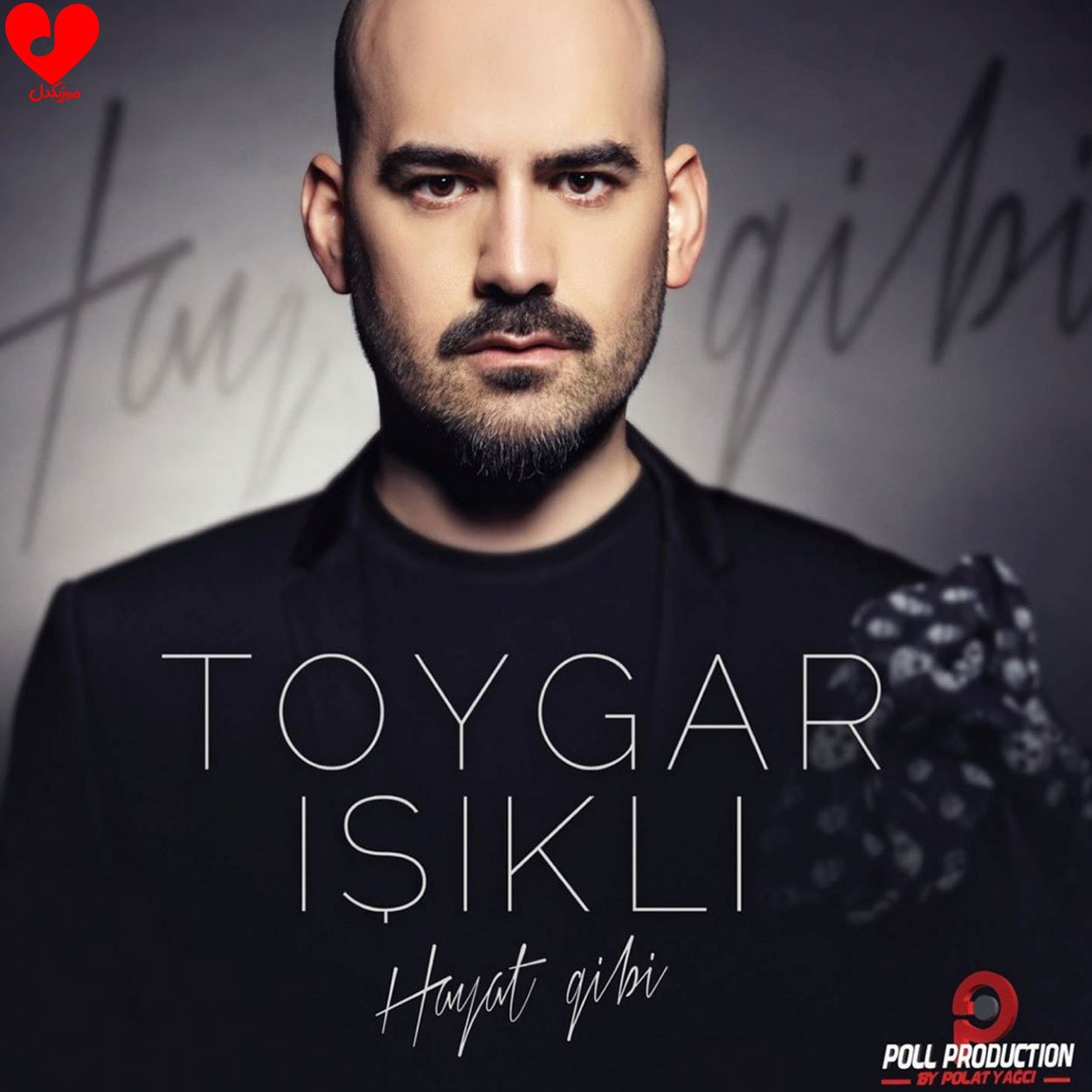 hayat gibi toygar isikli