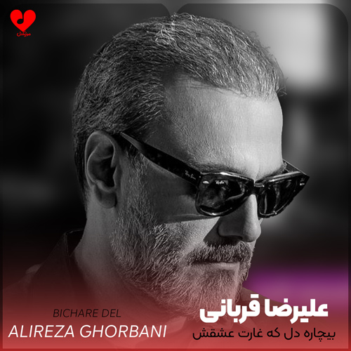 بیچاره دل که غارت عشقش