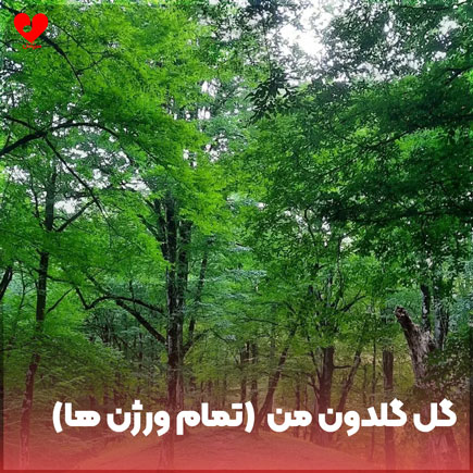 دانلود اهنگ گل گلدون من شکسته در باد