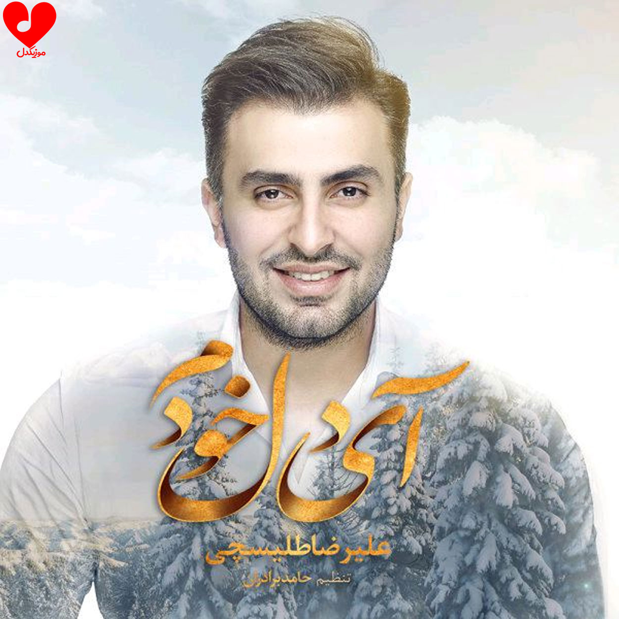 آی دل خودم علیرضا طلیسچی