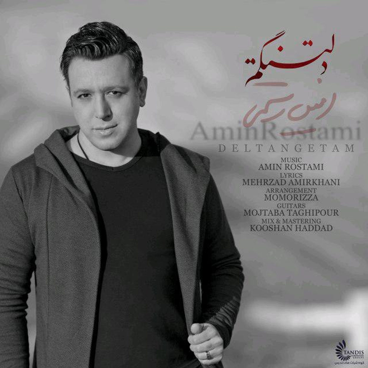 دانلود آهنگ دلتنگتم از امین رستمی (دلتنگتم حالا که بارونه رو گونه هام اشکو میرقصونه)