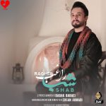 دانلود آهنگ شب از راغب (دوست دارم شب که میشه نگاهت کنم)