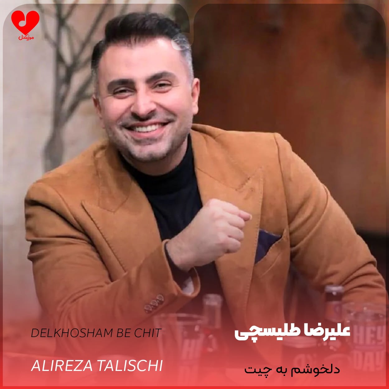 دانلود آهنگ دلخوشم به چیت از علیرضا طلیسچی