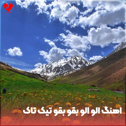 دانلود اهنگ الو الو بقو بقو ریمیکس تیک تاک دانلود اهنگ الو الو بقو بقو ریمیکس تیک تاک