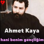 دانلود آهنگ هانی بنیم گنچلیگیم از احمد کایا