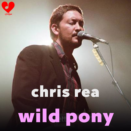 دانلود اهنگ wild pony کریس ریا