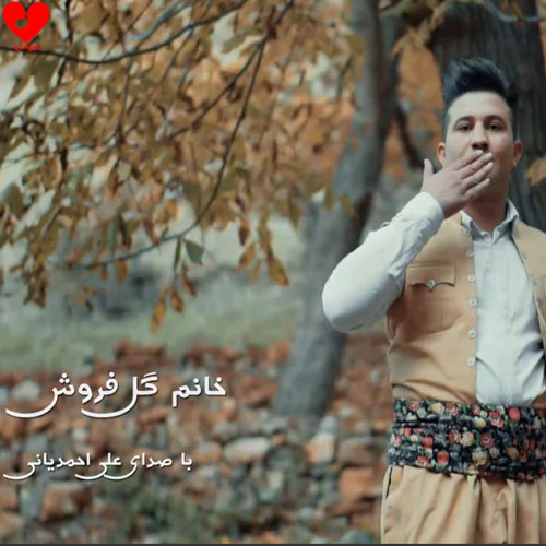 دانلود آهنگ خانم گل فروش از علی احمدیانی