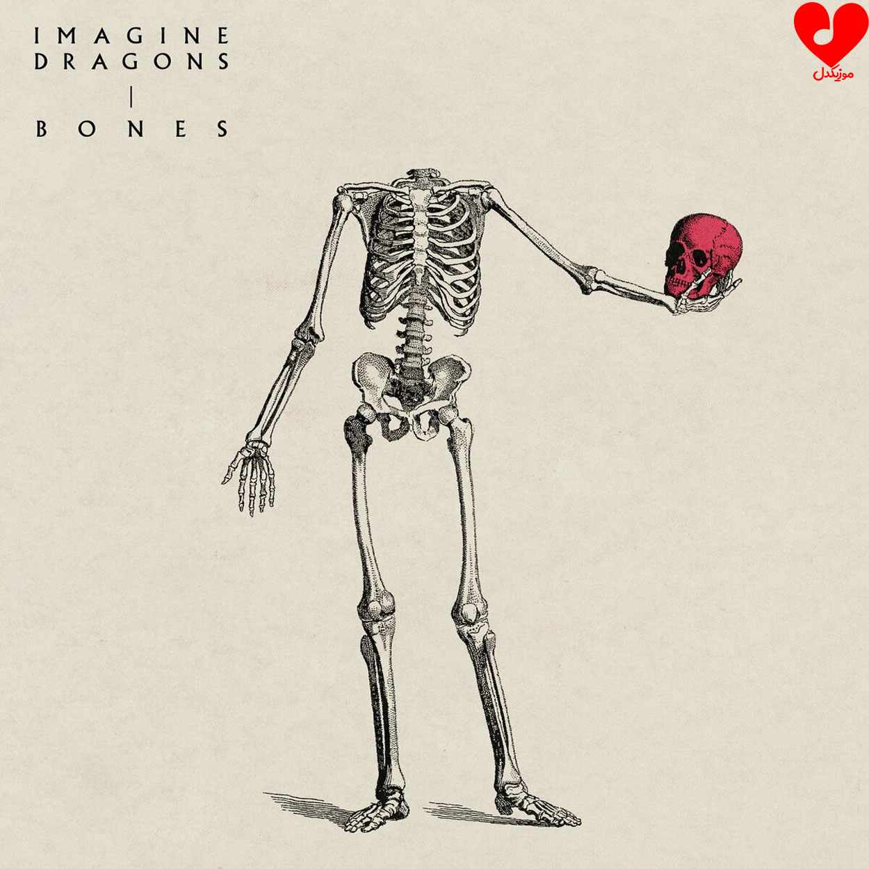 Imagine Dragons bones