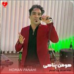 دانلود آهنگ شاه صنم زیبا صنم (تمام اجراها + ریمیکس)