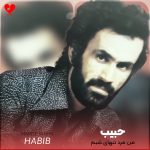 دانلود آهنگ من مرد تنهای شبم مهر خموشی بر لبم از حبیب (اصلی + ریمیکس + گیتار)
