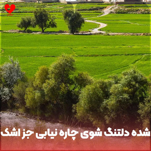 دانلود آهنگ شده دلتنگ شوی چاره نیابی جز اشک