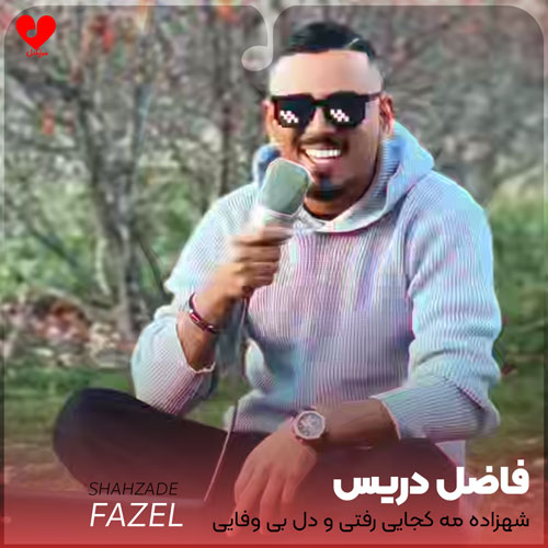 دانلود اهنگ شهزاده مه کجایی رفتی و دل بی وفایی (تمام اجراها + ریمیکس) فاضل دریس