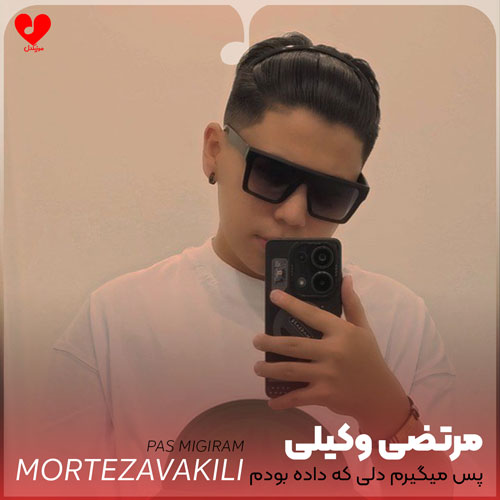 دانلود اهنگ پس میگیرم دلی که داده بودم بهت مرتضی وکیلی
