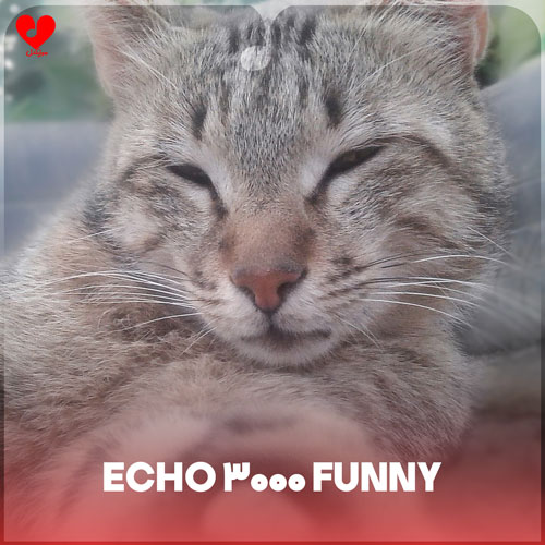 دانلود اهنگ echo 3000 funny