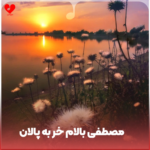 دانلود اهنگ مصطفی بالام خر به پالان رفته بود حمام دوش بگیره (ریمیکس اینستا) 
