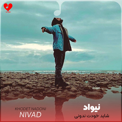 دانلود اهنگ شاید خودت ندونی ولی تو همه چیم شدی نیواد