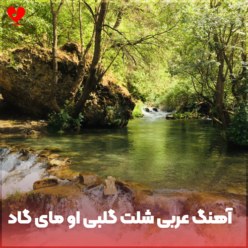 دانلود اهنگ عربی شلت گلبی او مای گاد