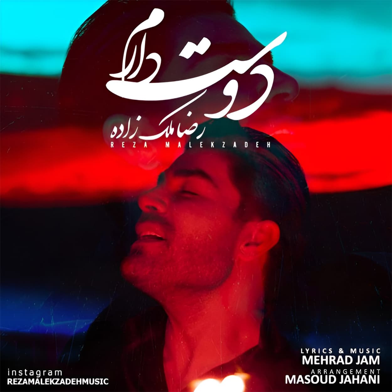 دانلود اهنگ دوست دارم رضا ملک زاده