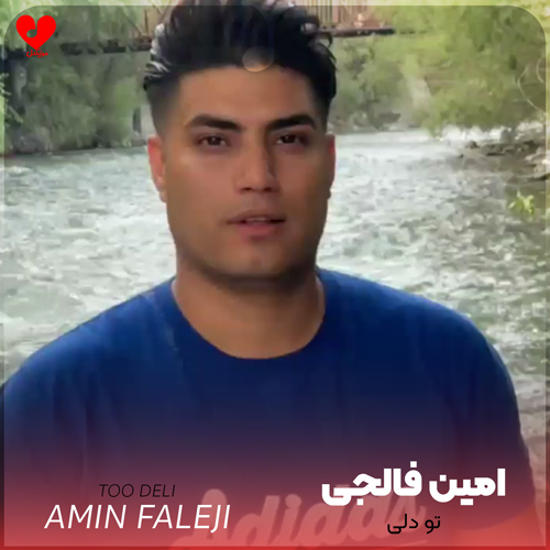 دانلود اهنگ تو دلی امین فالجی