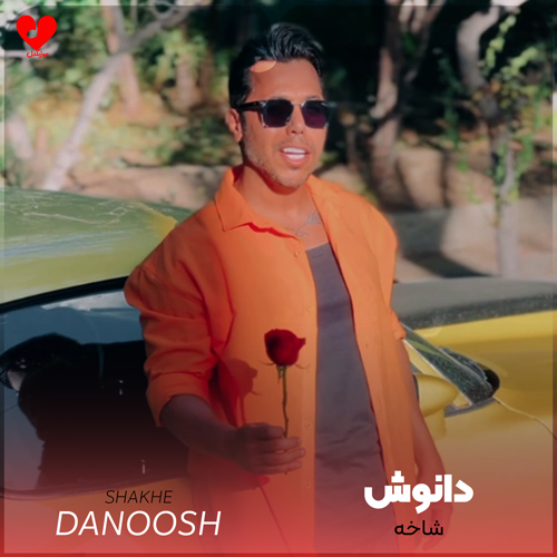 دانلود اهنگ شاخه (تا چشم برمیگردونی با یه شاخه گلم) دانوش