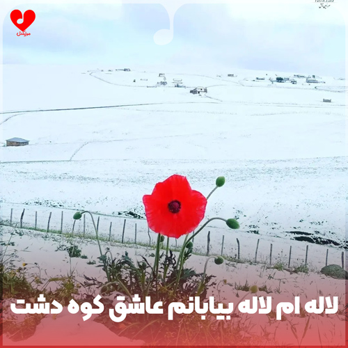 دانلود اهنگ لاله ام لاله بیابانم عاشق کوه دشت دامانم