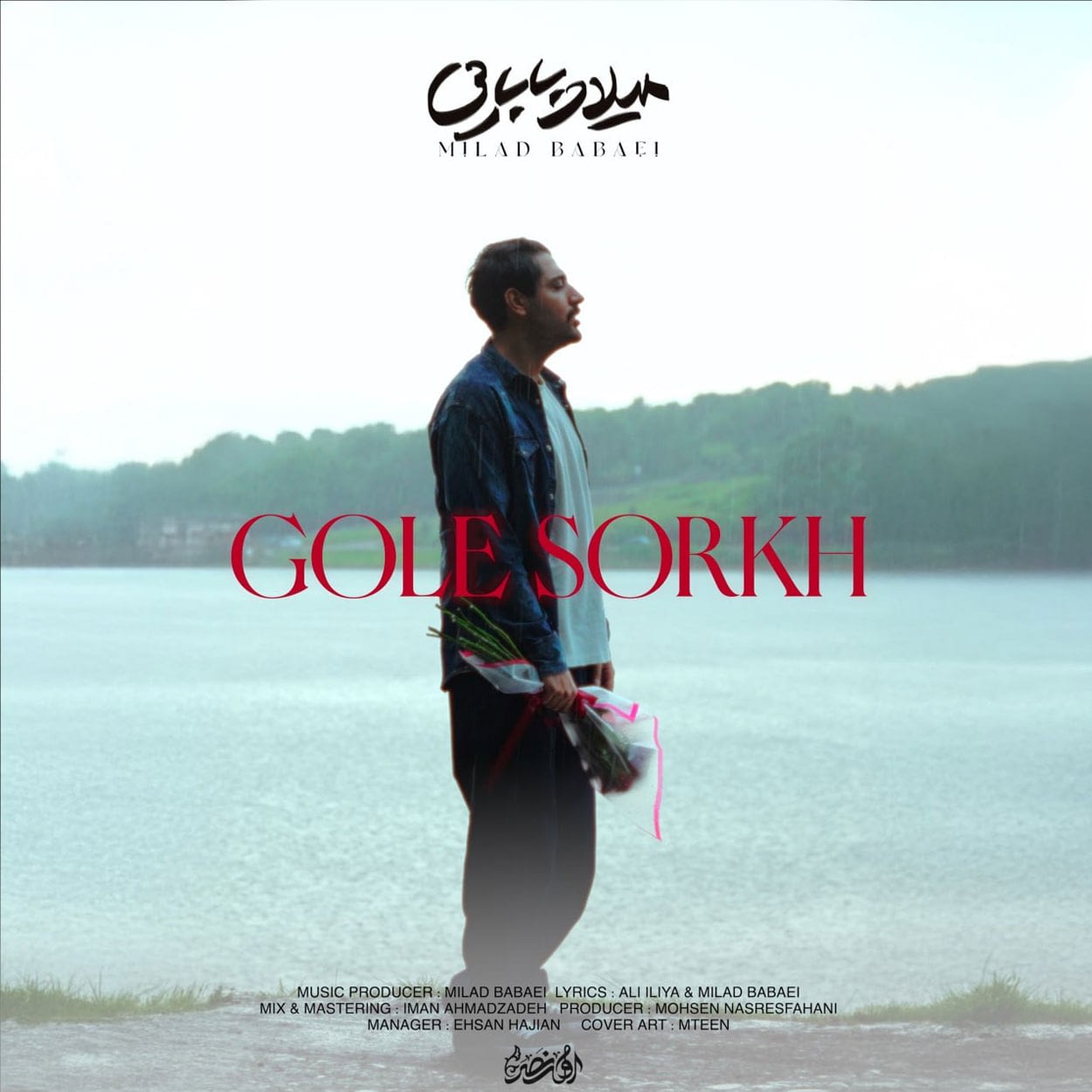 دانلود آهنگ گل سرخ از میلاد بابایی (یه بغل گل سرخ واسه خود خود تو)