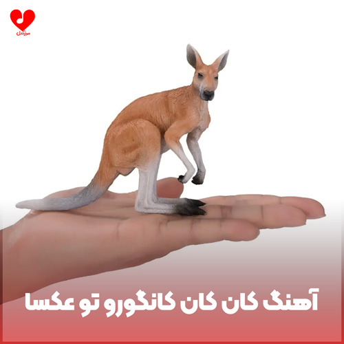 دانلود اهنگ کان کان کانگورو تو عکسا دیدم تورو