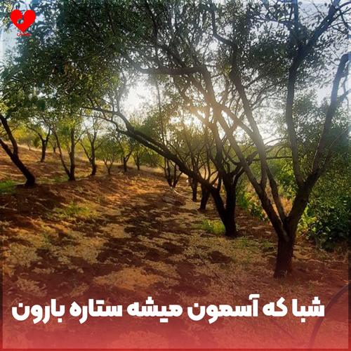 دانلود اهنگ شبا که آسمون میشه ستاره بارون