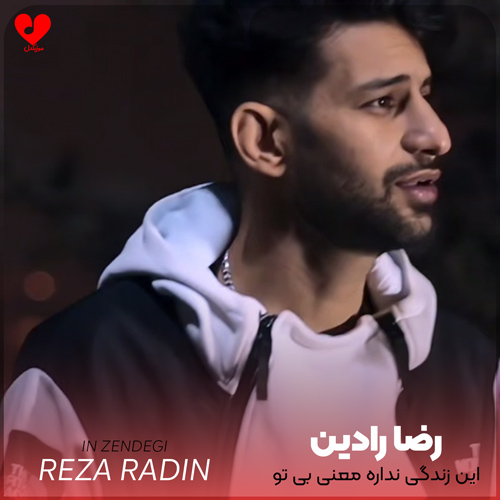 دانلود اهنگ این زندگی نداره معنی بی تو رضا رادین