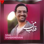 دانلود آهنگ قلب من از سینا شعبانخانی (تو خود قلب منی که بیرون سینه‌م میزنی)