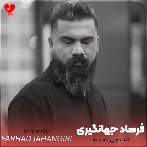 دانلود اهنگ نمیدانی چه دردیه ته خوبی نامردیه فرهاد جهانگیری
