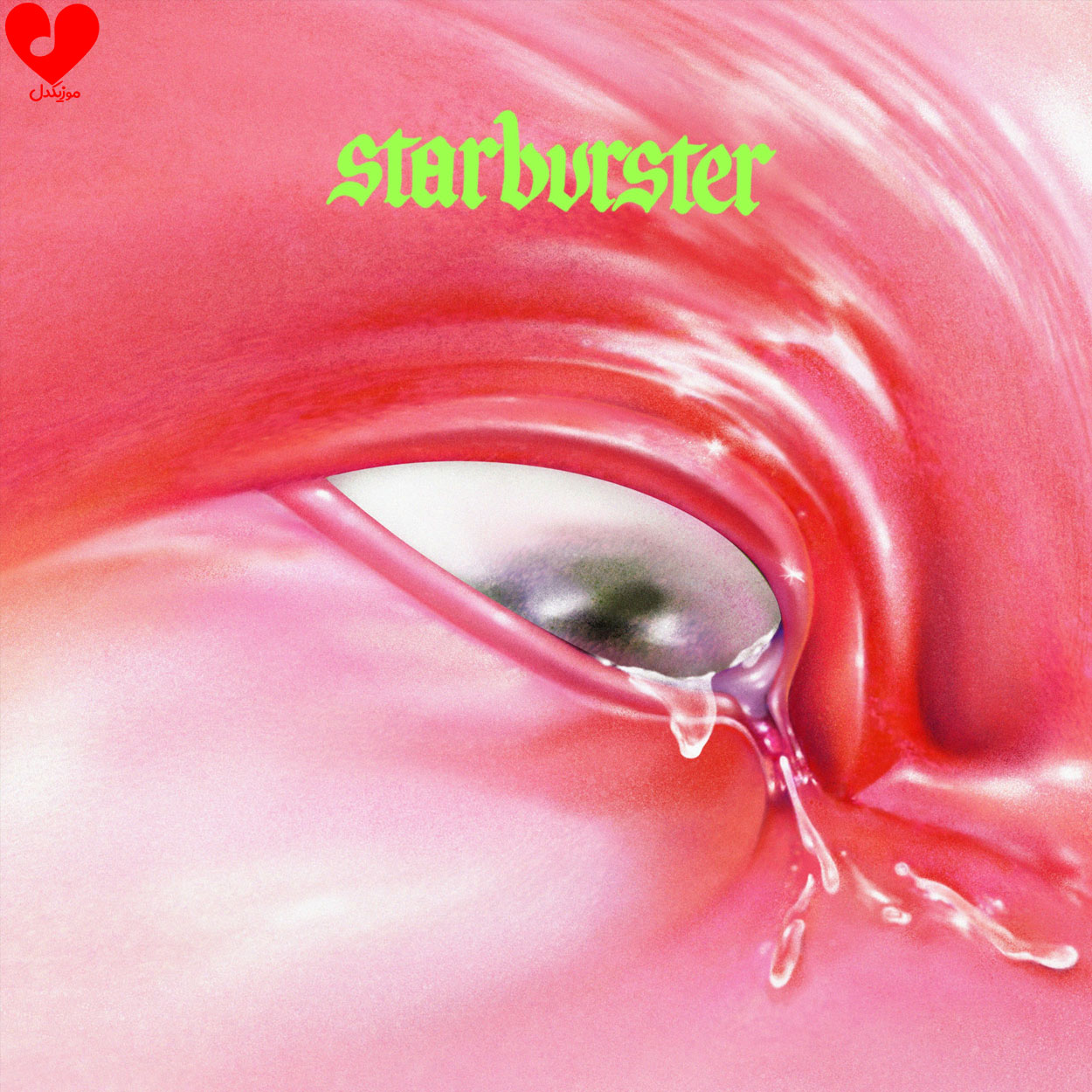 دانلود اهنگ استاربرستر / Starburster فونتینز دی.سی. / Fontaines D.C.