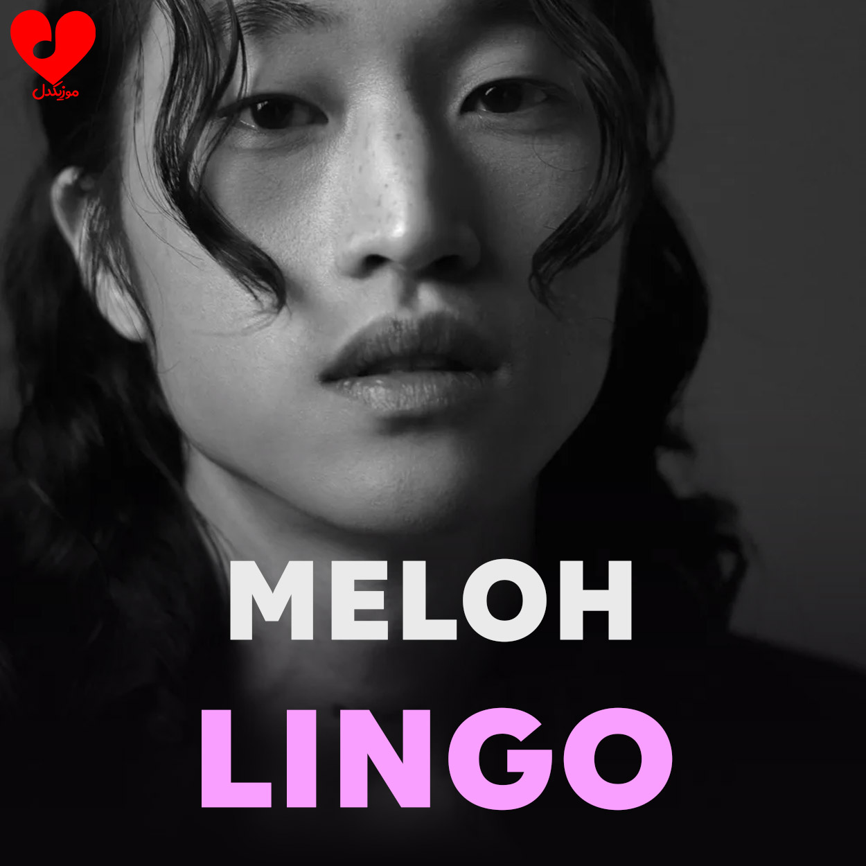 دانلود اهنگ لینگو / LINGO ملو / MELOH