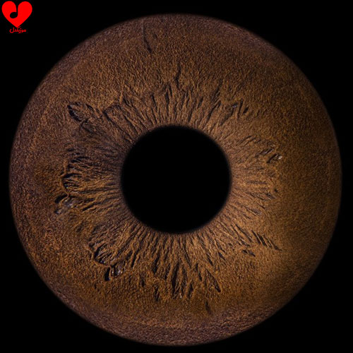 دانلود اهنگ سیاه چاله / بلک هول / Black Hole نقیب شنبه زاده / Naghib Shanbehzadeh