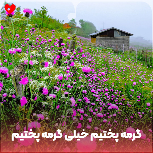 دانلود اهنگ گرمه گرمه پختیم خیلی گرمه پختیم