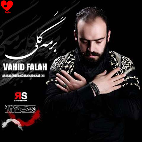 دانلود مداحی برمه گلی خوندمه یا حسین یا حسین وحید فلاح